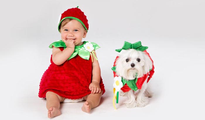 Pet Love Baby Photography