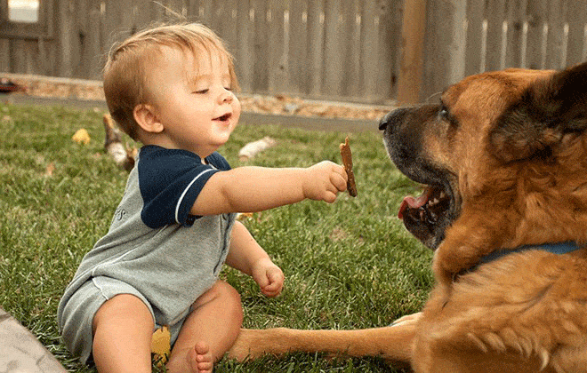 Take Baby pictures with pets