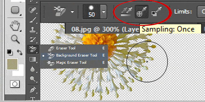 Background Eraser Tool In Photoshop